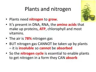 Plants and nitrogen