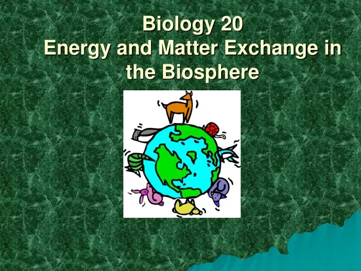 biology 20 energy and matter exchange in the biosphere