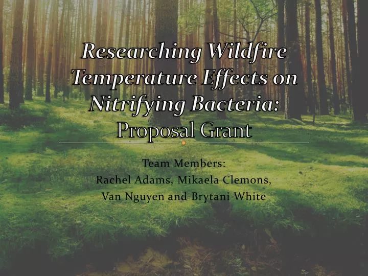 researching wildfire temperature effects on nitrifying bacteria proposal grant