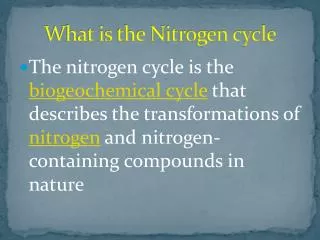 What is the Nitrogen cycle