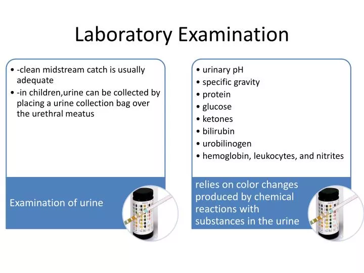 laboratory examination