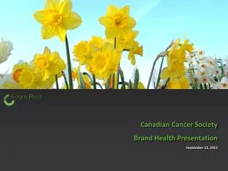 Canadian Cancer Society Brand Health Presentation
