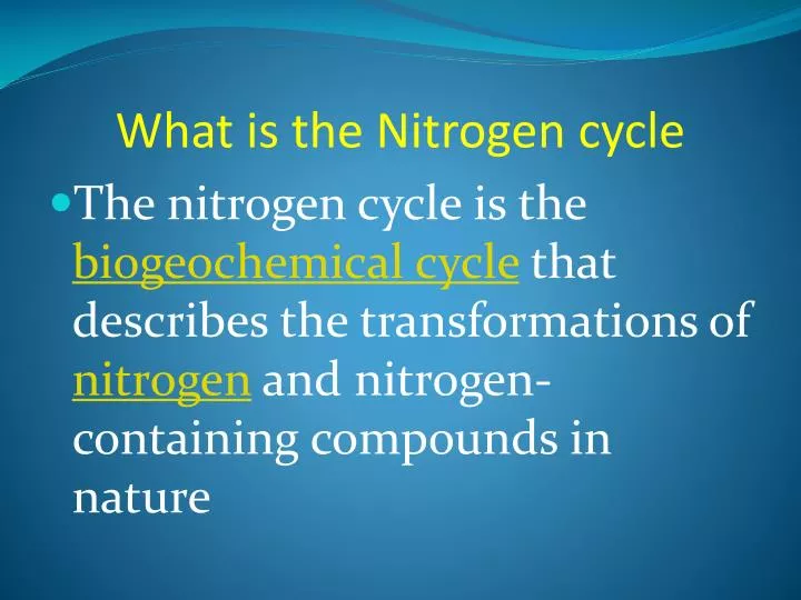what is the nitrogen cycle