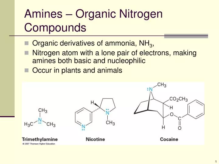 amines organic nitrogen compounds
