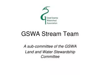 GSWA Stream Team