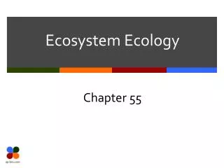 ecosystem ecology