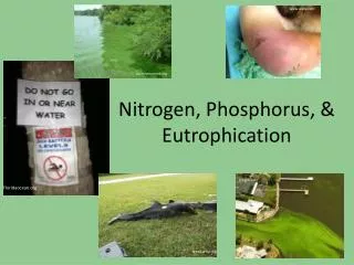 Nitrogen, Phosphorus, &amp; Eutrophication