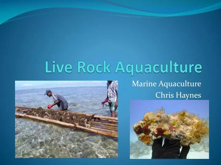 live rock aquaculture