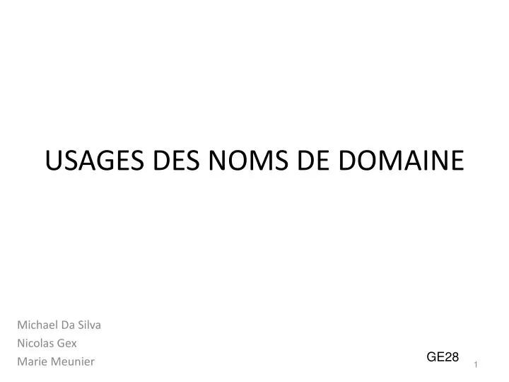 usages des noms de domaine