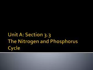 Unit A: Section 3.3 The Nitrogen and Phosphorus Cycle