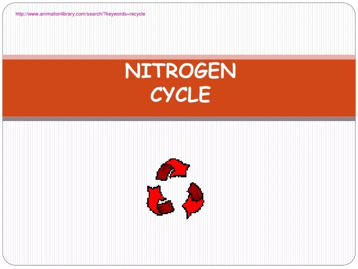 nitrogen cycle