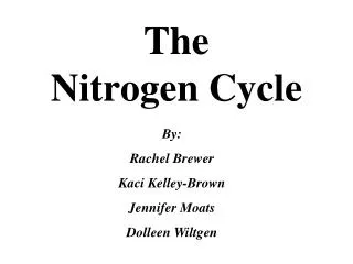 The Nitrogen Cycle