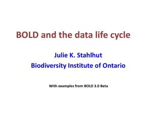 BOLD and the data life cycle