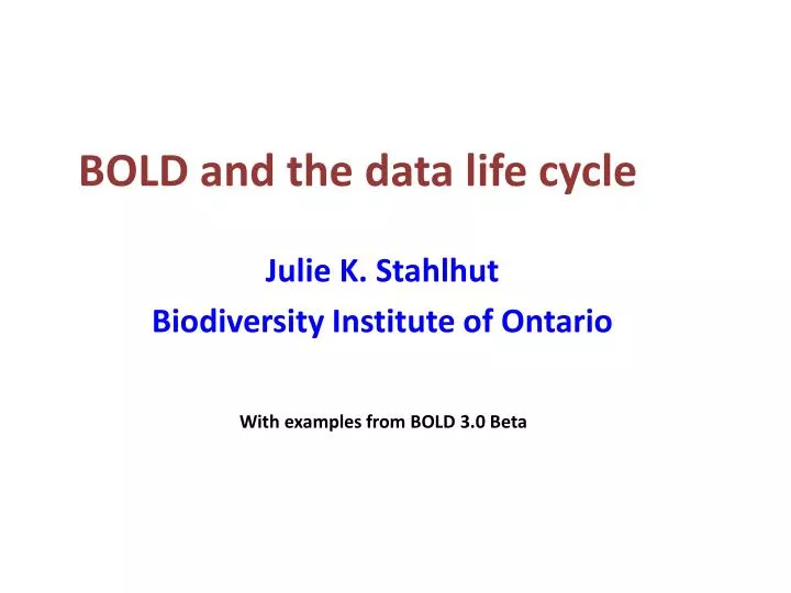 bold and the data life cycle
