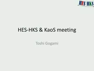 HES-HKS &amp; KaoS meeting