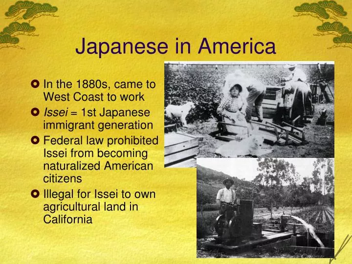 japanese in america