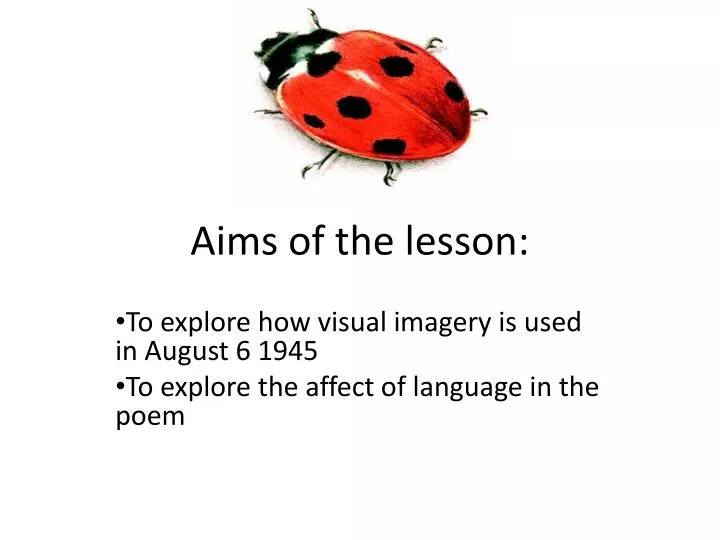 aims of the lesson