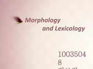 Morphology and Lexicology