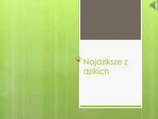 najdziksze z dzikich