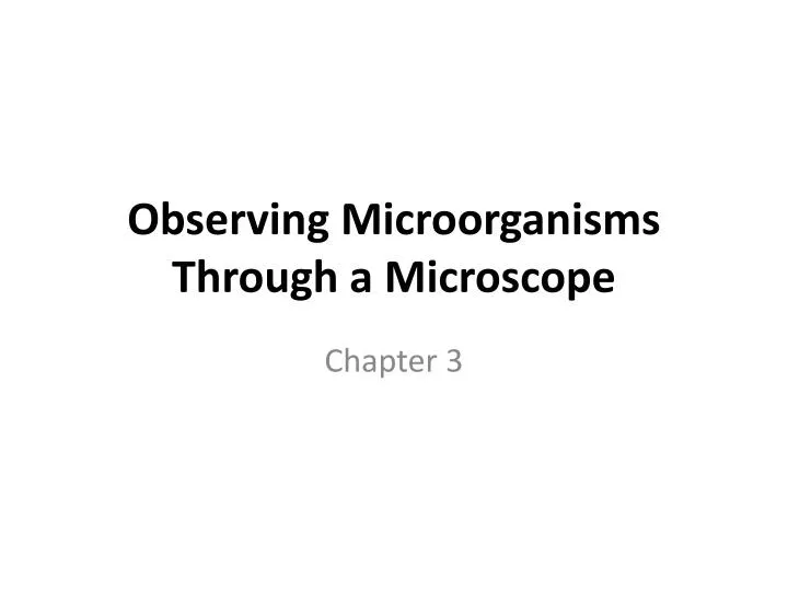 observing microorganisms through a microscope