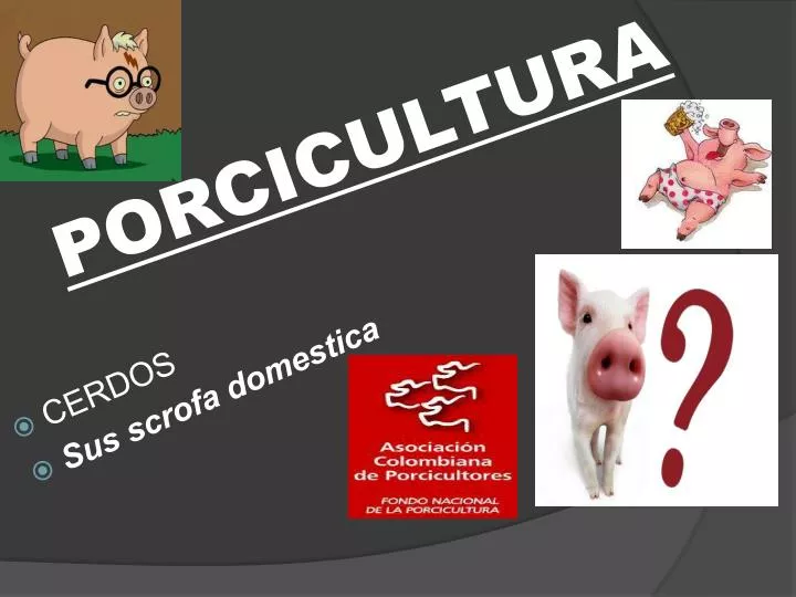 porcicultura