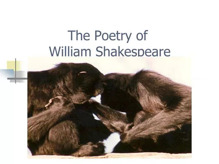 the poetry of william shakespeare
