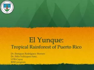 El Yunque : Tropical Rainforest of Puerto Rico