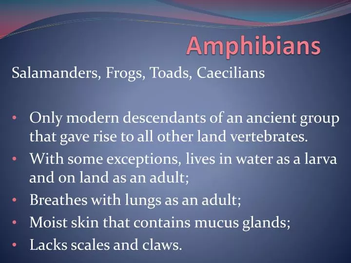 amphibians