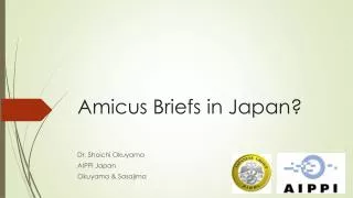Amicus Briefs in Japan?
