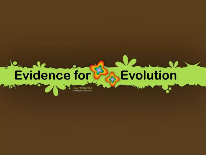 evidence for evolution