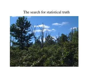 The search for statistical truth