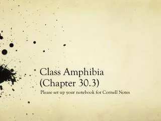 Class Amphibia (Chapter 30.3)