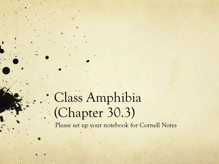 class amphibia chapter 30 3