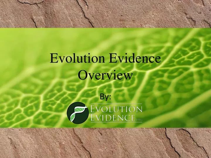 evolution evidence overview