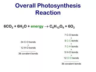 Overall Photosynthesis Reaction