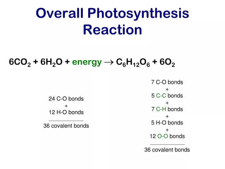 overall photosynthesis reaction