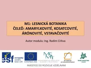 M1: LESNICKÁ BOTANIKA ČELEĎ: AMARYLKOVITÉ, KOSATCOVITÉ, ÁRÓNOVITÉ, VSTAVAČOVITÉ