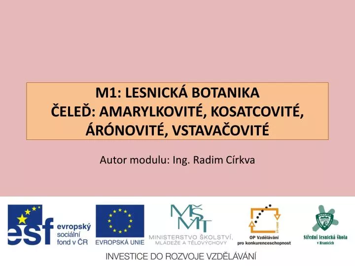 m1 lesnick botanika ele amarylkovit kosatcovit r novit vstava ovit