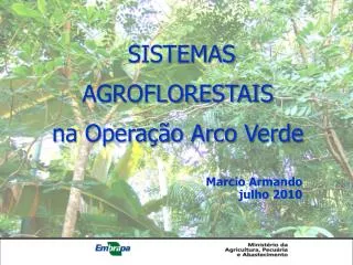 marcio armando julho 2010