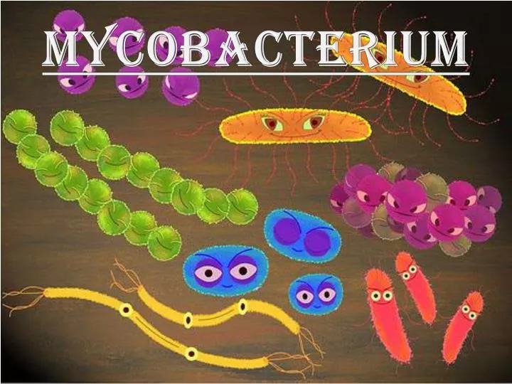 mycobacterium