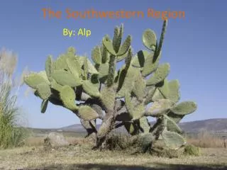 The Southwestern Region