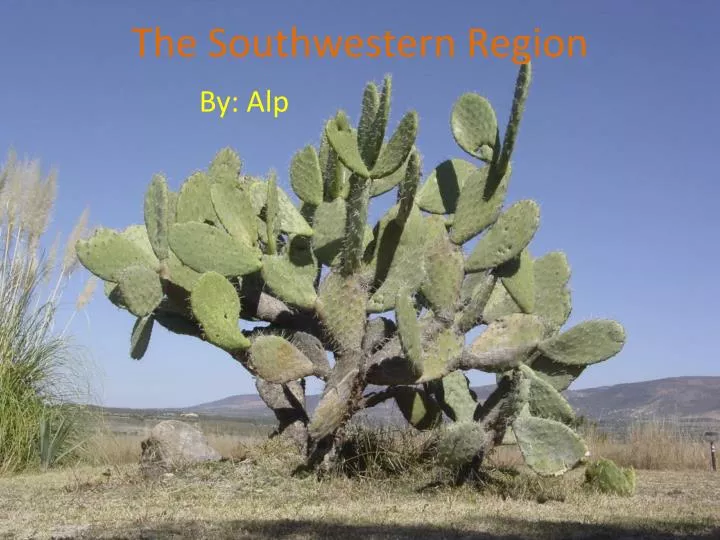 the southwestern region
