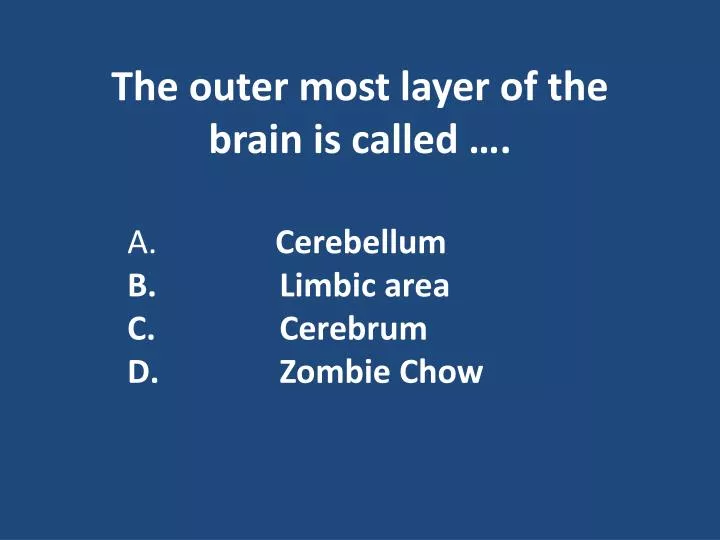 the outer most layer of the brain is called