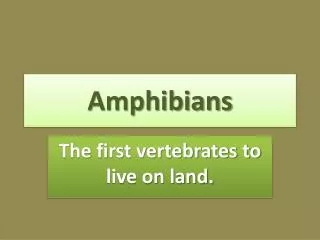 Amphibians