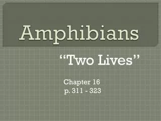 Amphibians