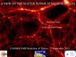 A VIEW ON THE MATTER POWER AT MEDIUM SCALES MATTEO VIEL