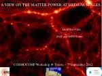 Exploring Neutrino and Warm Dark Matter Effects in Cosmological Structures - slide 1