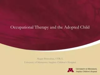 Occupational Therapy and the Adopted Child