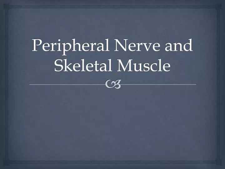 peripheral nerve and skeletal m uscle
