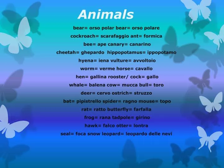 animals